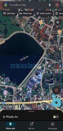 Cho thuê toàn bộ kho xưởng gồm (nhà điều hành, kho xưởng, nhà ở nhân v