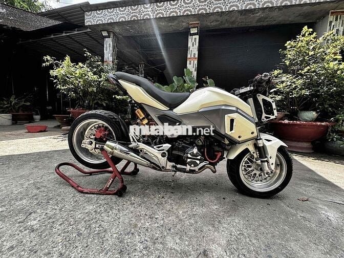 Xe MSX Độ Hạ Lùn