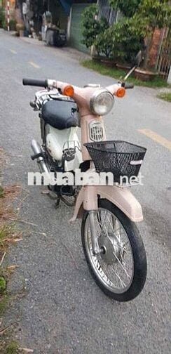 cub 50 có đề