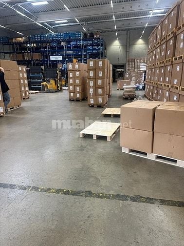 Tuyển LĐPT sắp xếp hàng, kiểm tra và dán tem