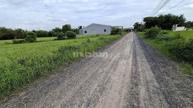 Chính chủ bán lô đất ấp sò đôi, đường 6 m, thị trấn hậu nghĩa, Đức Hoà