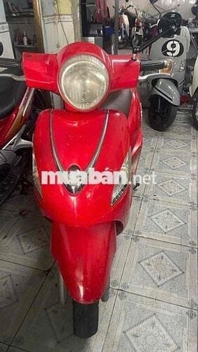 elizabet fi biển 60
