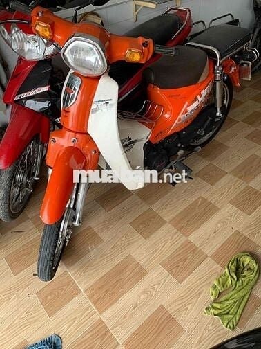 cup 50cc 2022