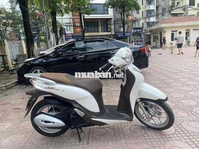 Sh mode nguyên bản chính chủ biển hà nội
