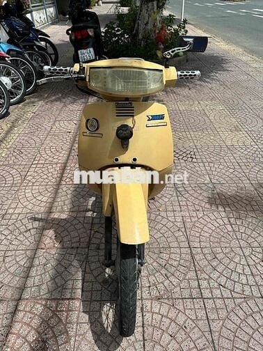 max 50c vĩnh long