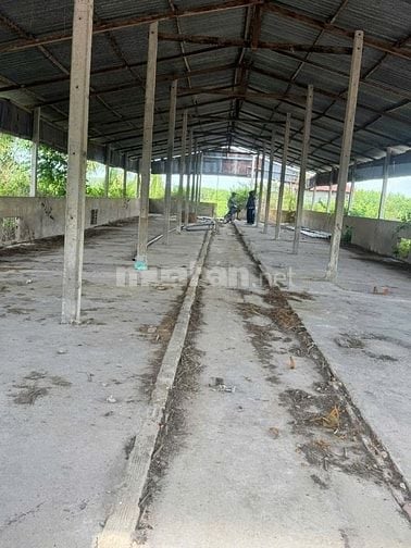 Bán gấp lô đất thuộc Ấp Chòm Dừa, Xã Đồng Khởi, Châu Thành, Tây Ninh