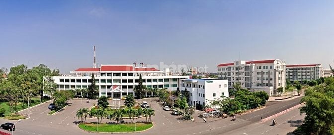 TÀI XẾ LÁI XE ĐẦU KÉO CONTAINER