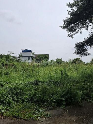 Bán đất đường D7 phường Trường Thạnh Quận 9 giá 12 tỷ