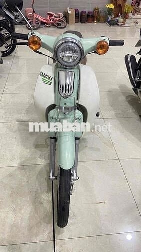 cup 50 cc