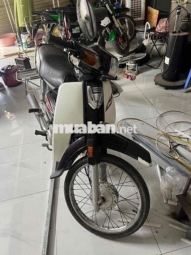 dream việt biển đẹp
