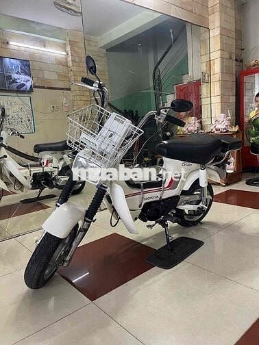 chaly nhật đèn vuông bstp