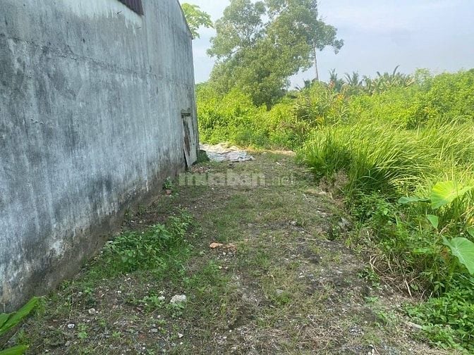 Bán đất sổ đỏ chính chủ tại Long Phước, Quận 9, TP.HCM – Vị trí đẹp