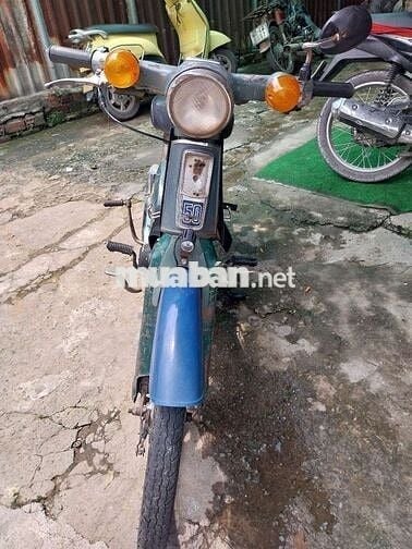 Cub 50 cc cực ngon