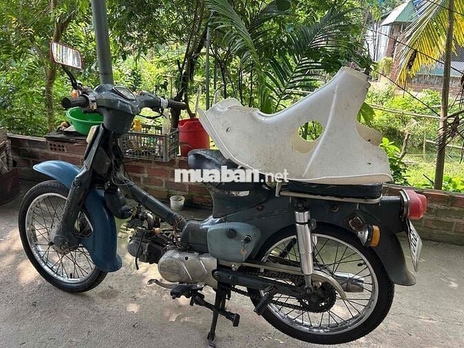 Cub Nhật giấy tờ đầy đủ