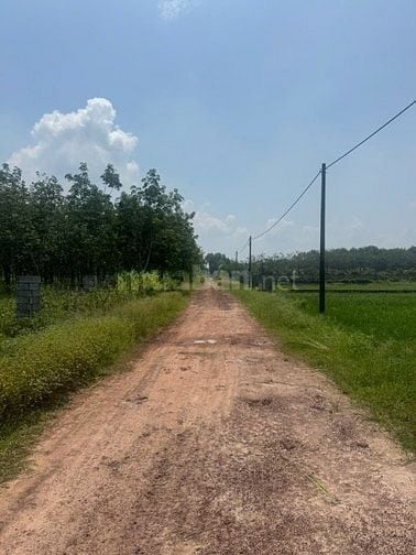 Bán đất Hà Thị Kiểm, Phú Mỹ Hưng, Củ Chi: 10 x 74, giá 1,5 tỷ