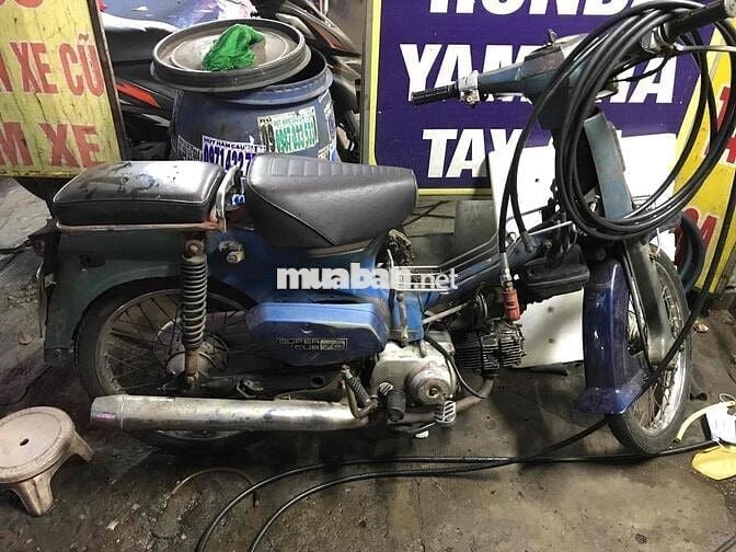 xe cub 70
