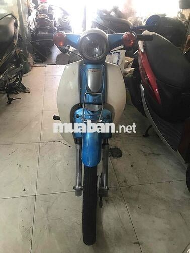 cúp 50 cc