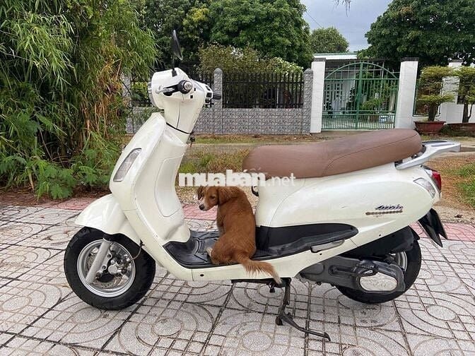 Atila bs 72 máy rin xe còn đẹp máy im