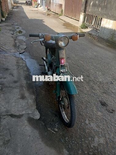 Honda Cub 50cc