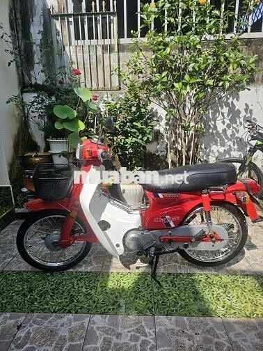 Xe cub DD 70cc