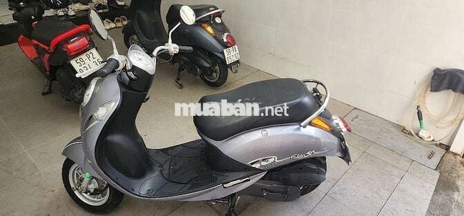 XE NHỎ XINH ELITE CHO HỌC SINH