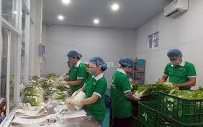 Chính chủ quận bình tân nhận LĐPT 