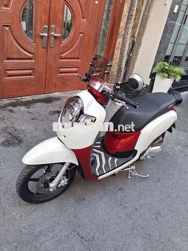 Honda Scoopy 110 bstp