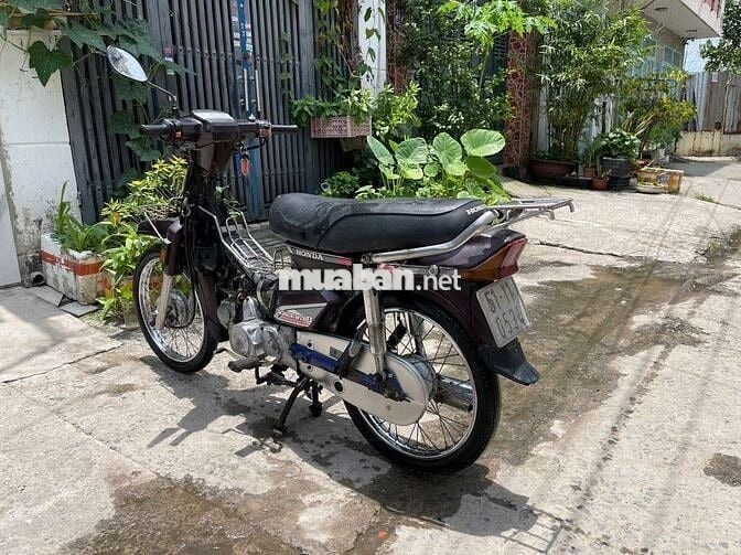 Honda dream thái bstp 51Y1.0534