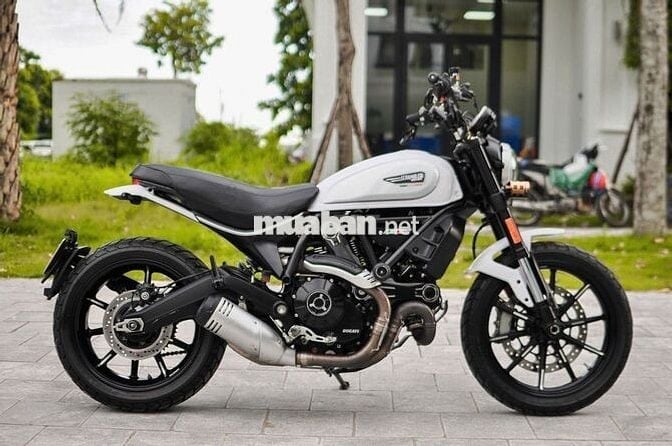 THANH MOTOR Cần bán Ducati Scrambler Icon 2019