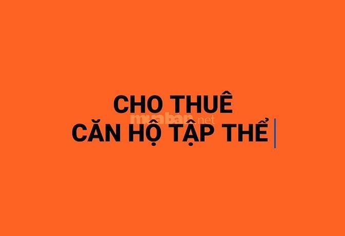 Cho thuê căn hộ tầng 3 tập thể Thành Công