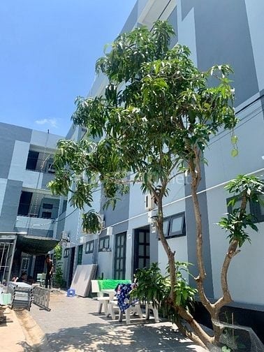 Nhà 34-44m2 mới xây Nguyễn Bình_LVL