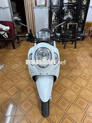 Bán scoopy chính chủ BS 65 xe cực mới