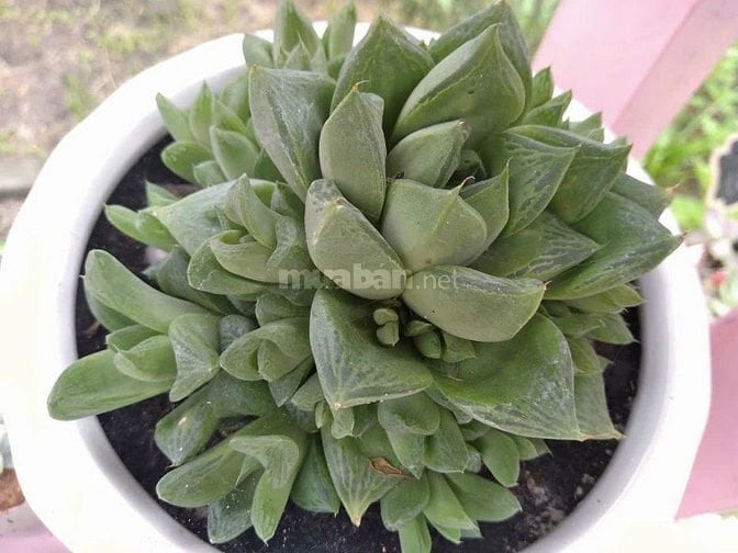 Cần Gấp Vài Nữ Bán Hàng Tại Chỗ