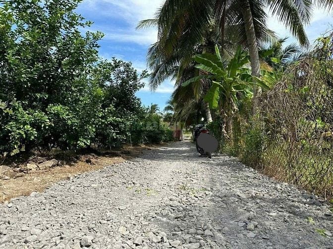 Bán Đất ấp Thạnh Hòa, Long Hưng, Châu Thành, Tiền Giang. 6,08x28= 170m