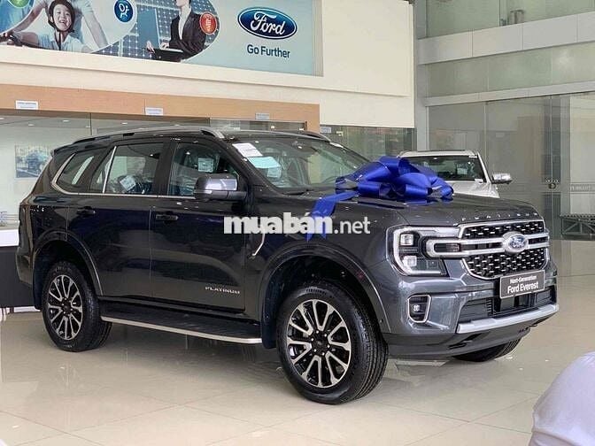 2025 Platinum 2.0L 4x4 AT Bank 80%, lãi 7,5%