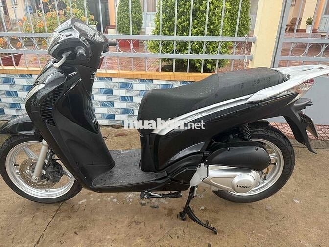Sh 150 nhập Ý