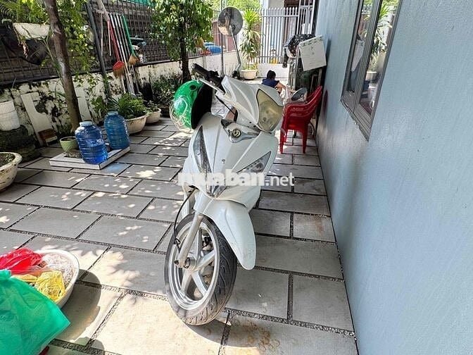 bán ce tay ga shark - thiện chí lấy nhanh đc giảm