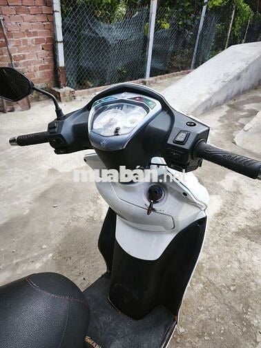 SYM SHARK 125