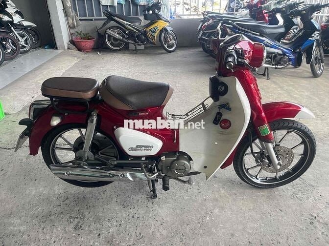 cub 50