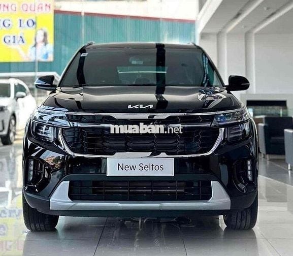 KIA NEW SELTOS LUXURY ƯU ĐÃI LÊN ĐẾN 80TR