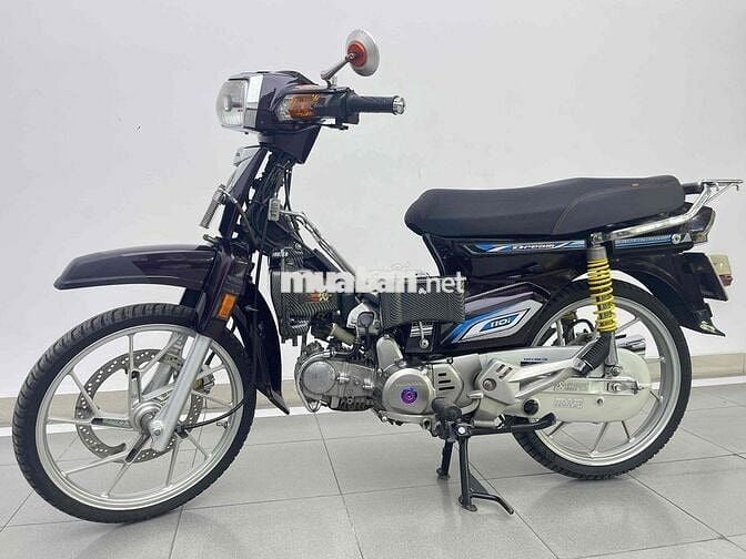 ban dream kiểng thái 2025