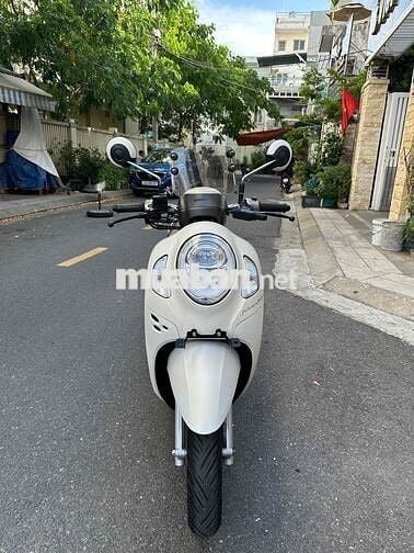Scoopi cuối 2024,hàng bỏ mẫu siêu lướt