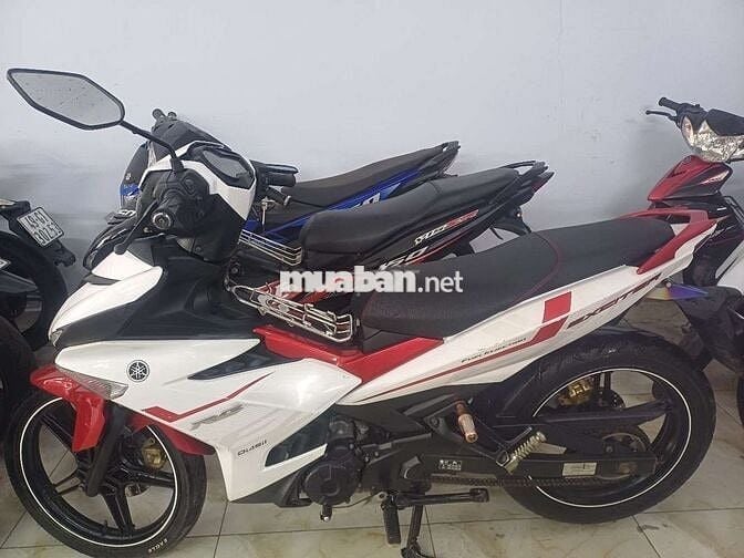 Xe cọp biển đẹp