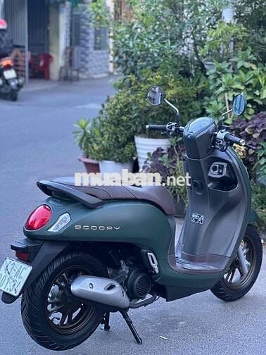 Scoopi hàng bỏ mẫu còn rất đẹp