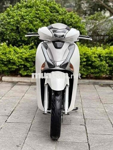 SH125 CBS 2019 bao check - Trả trước 35tr nhận xe✅