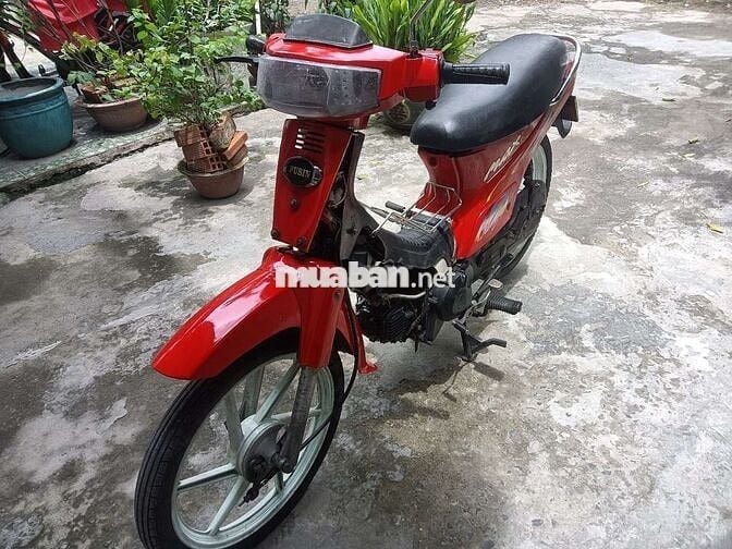 Max  3, bstp đẹp.