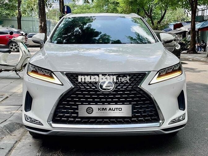Lexus RX 2021 RX300 - 35000 km