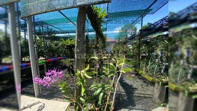 BÁN ĐẤT LỚN – VỊ TRÍ ĐẸP TRUNG TÂM TP. THỦ DẦU MỘT – ĐƯỜNG HỒ VĂN CỐNG