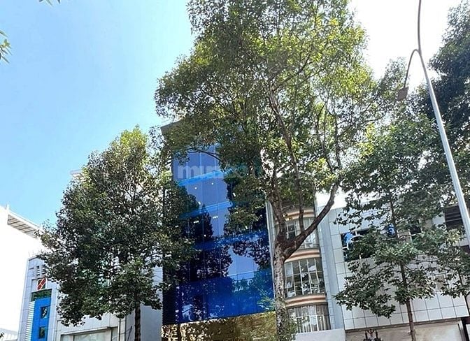 Tòa nhà 6 tầng + hầm Lê Hồng Phong, vị trí kinh doanh sầm uất, đang ch