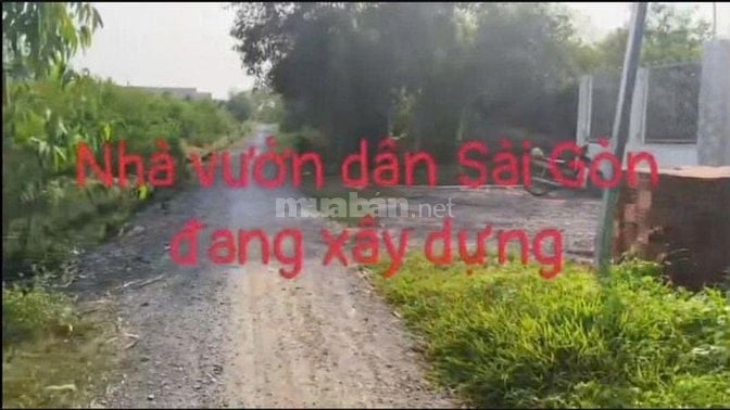 Cần Bán gấp Đất vườn, ấp 5 xã Thạnh Lợi, Tây Ninh..(Long An cũ)